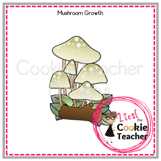 Mushroom Growth