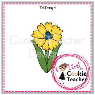 Tall Daisy 4